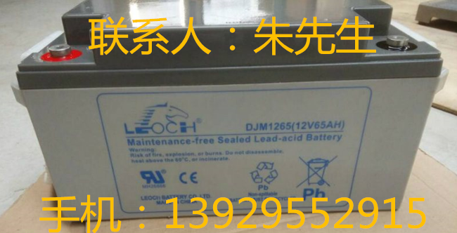 LEOCH電池DJM1265 12V65AUPS電源后備電池直流屏電瓶