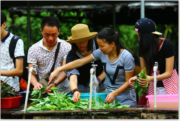 農(nóng)家樂野炊圖片/農(nóng)家樂野炊樣板圖 (1)