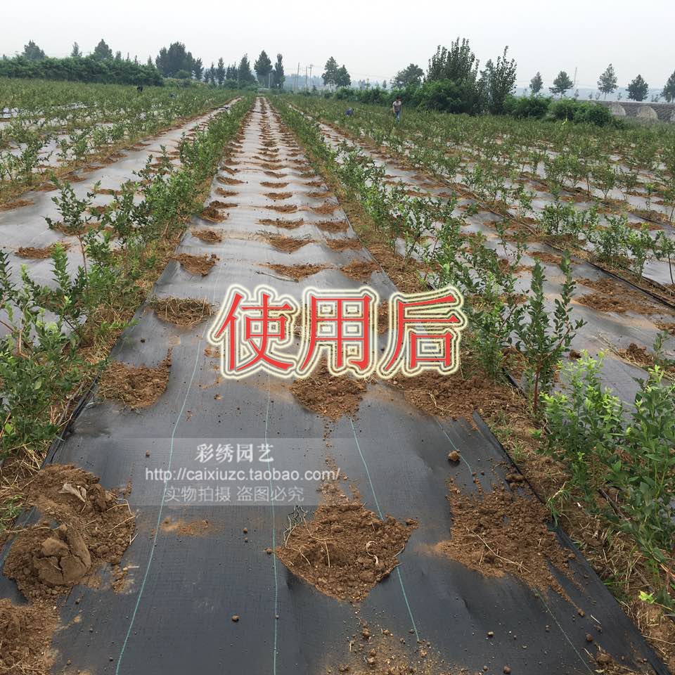 遮陽網(wǎng)圖片/遮陽網(wǎng)樣板圖 (4)