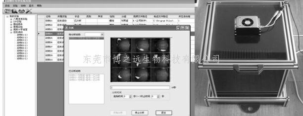 BYZ-DG902型联合开场(旷场)实验视频分析系统动物行为学旷场分析系统大小鼠旷场实验视频分析图片