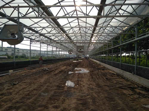 污泥干化處理圖片/污泥干化處理樣板圖 (2)