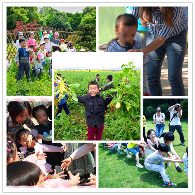 幼兒園圖片/幼兒園樣板圖 (4)