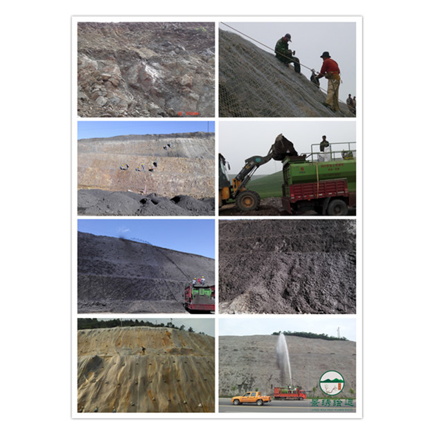 噴播圖片/噴播樣板圖 (2)