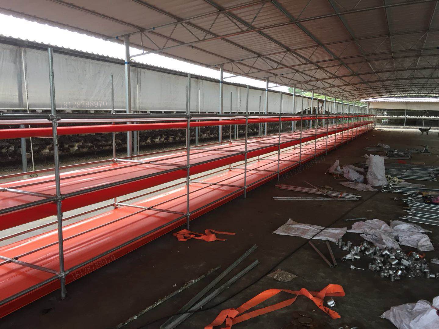 家禽自動(dòng)圖片/家禽自動(dòng)樣板圖 (3)