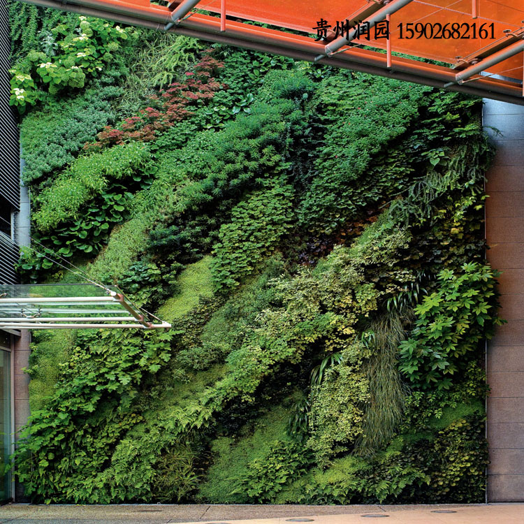 植物墻圖片/植物墻樣板圖 (3)