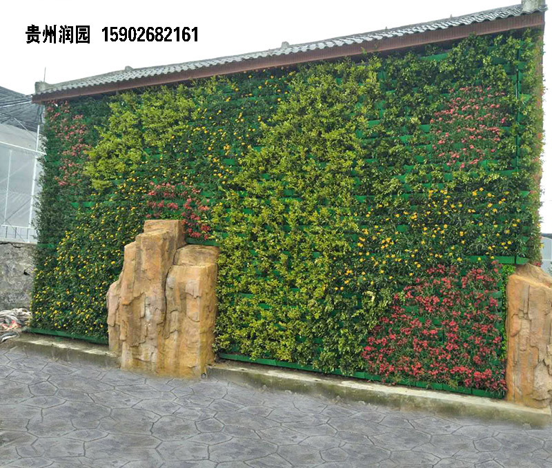 植物墻圖片/植物墻樣板圖 (4)