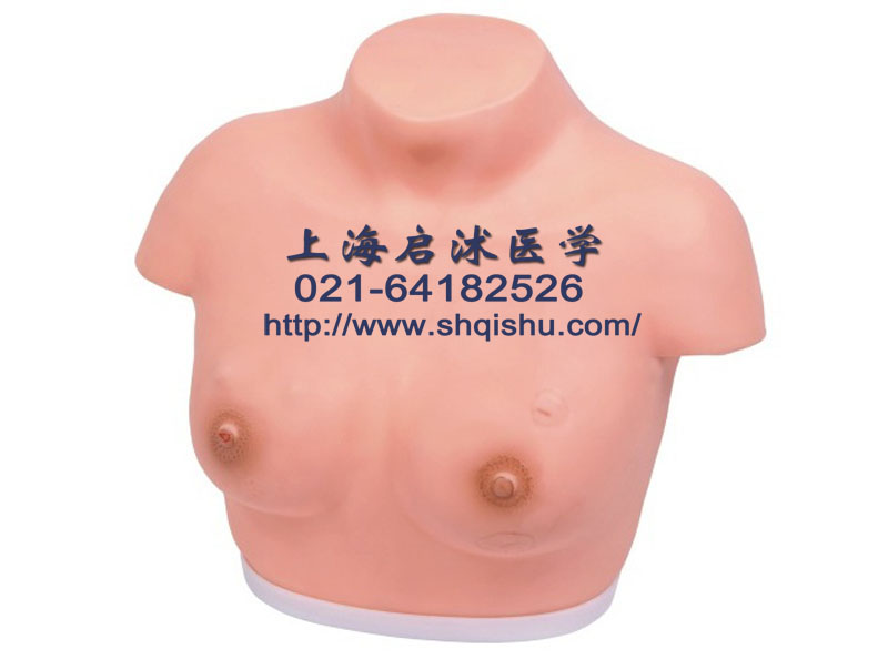胸部及乳腺觸診模型,胸部及乳腺視診模型,胸部及乳腺觸診模型模擬人 胸部及乳腺觸診訓(xùn)練模型人