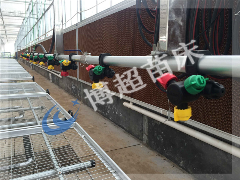 的優(yōu)勢(shì)圖片/的優(yōu)勢(shì)樣板圖 (2)