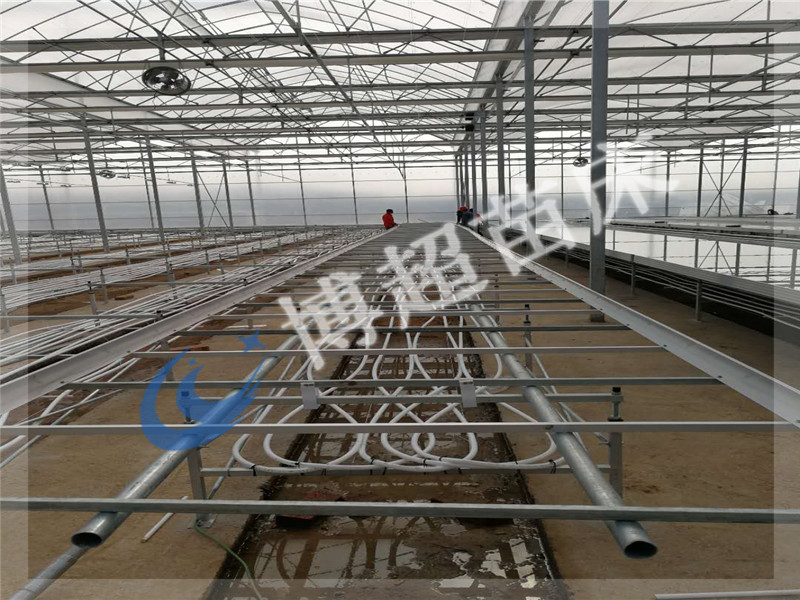 溫室苗床網(wǎng)圖片/溫室苗床網(wǎng)樣板圖 (3)