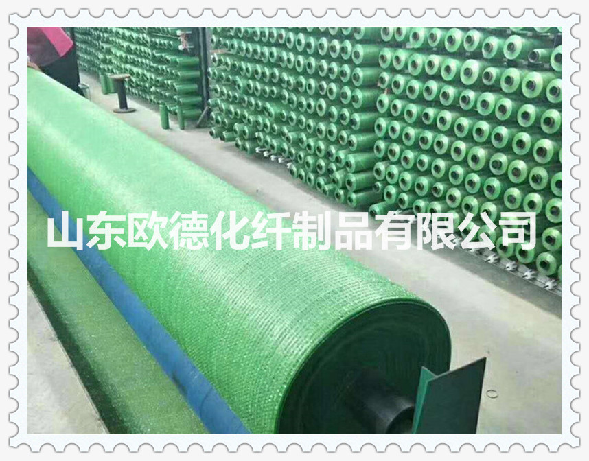 綠色蓋土網(wǎng)圖片/綠色蓋土網(wǎng)樣板圖 (4)