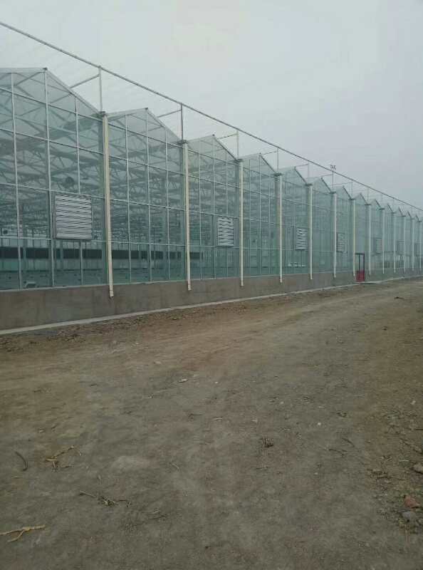 建設(shè)溫室大棚圖片/建設(shè)溫室大棚樣板圖 (2)