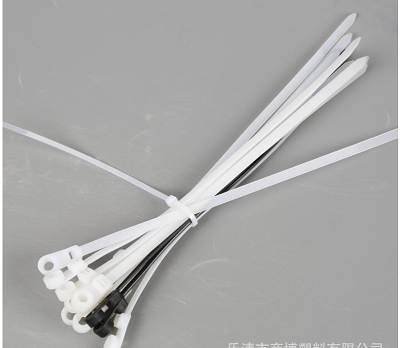 塑料標(biāo)識(shí)牌扎帶圖片/塑料標(biāo)識(shí)牌扎帶樣板圖 (1)