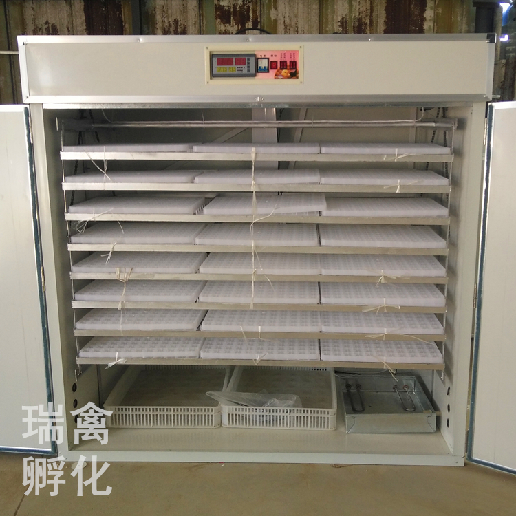 小型孵化器全自動圖片/小型孵化器全自動樣板圖 (3)