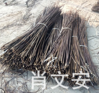 柳條圖片/柳條樣板圖 (1)