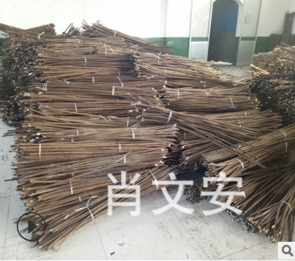 蒸柳圖片/蒸柳樣板圖 (3)