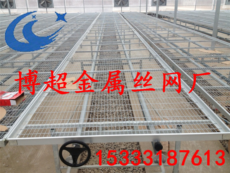 移動(dòng)苗床/移動(dòng)育苗床/移動(dòng)苗床網(wǎng)