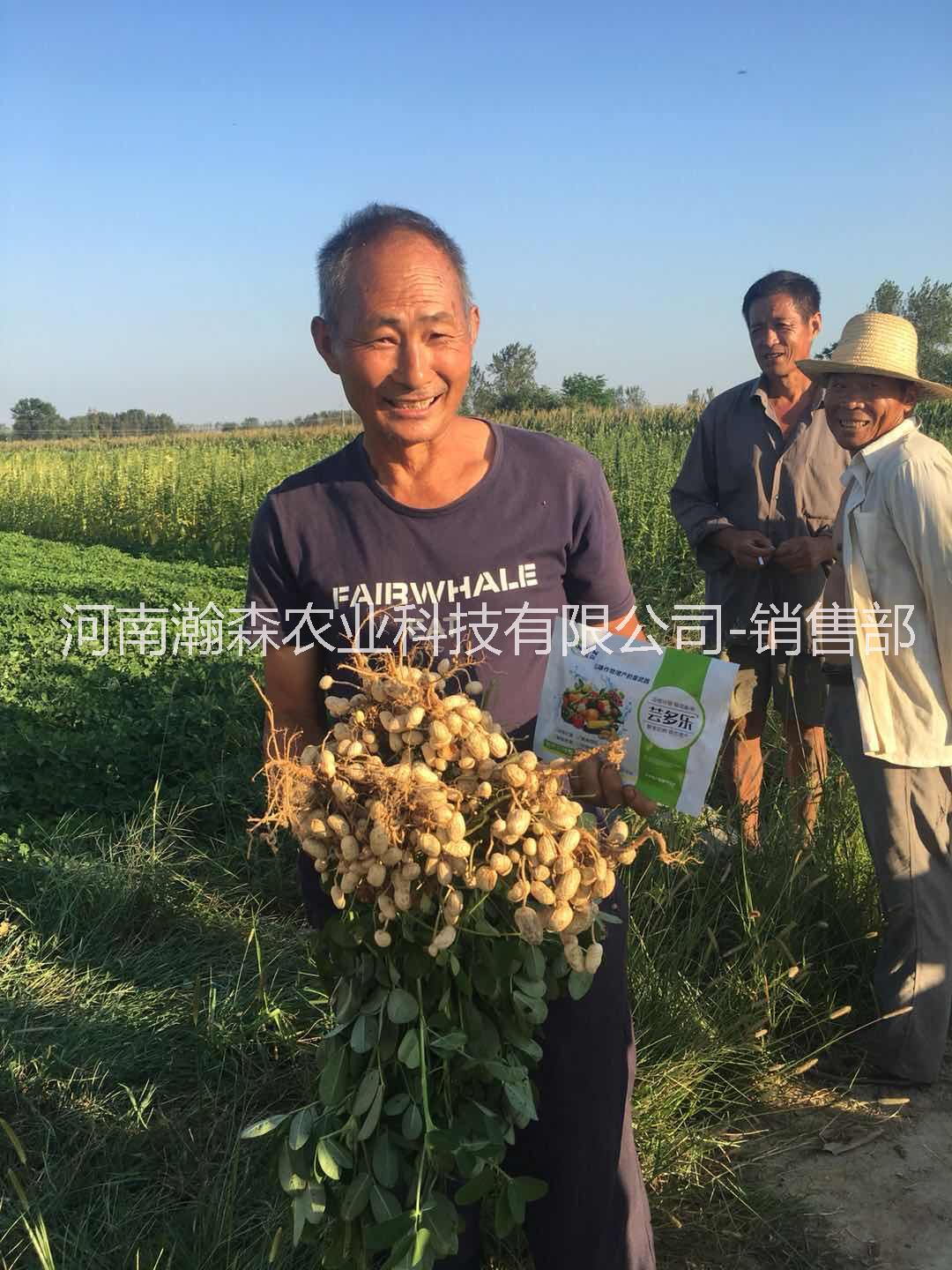 多樂圖片/多樂樣板圖 (3)