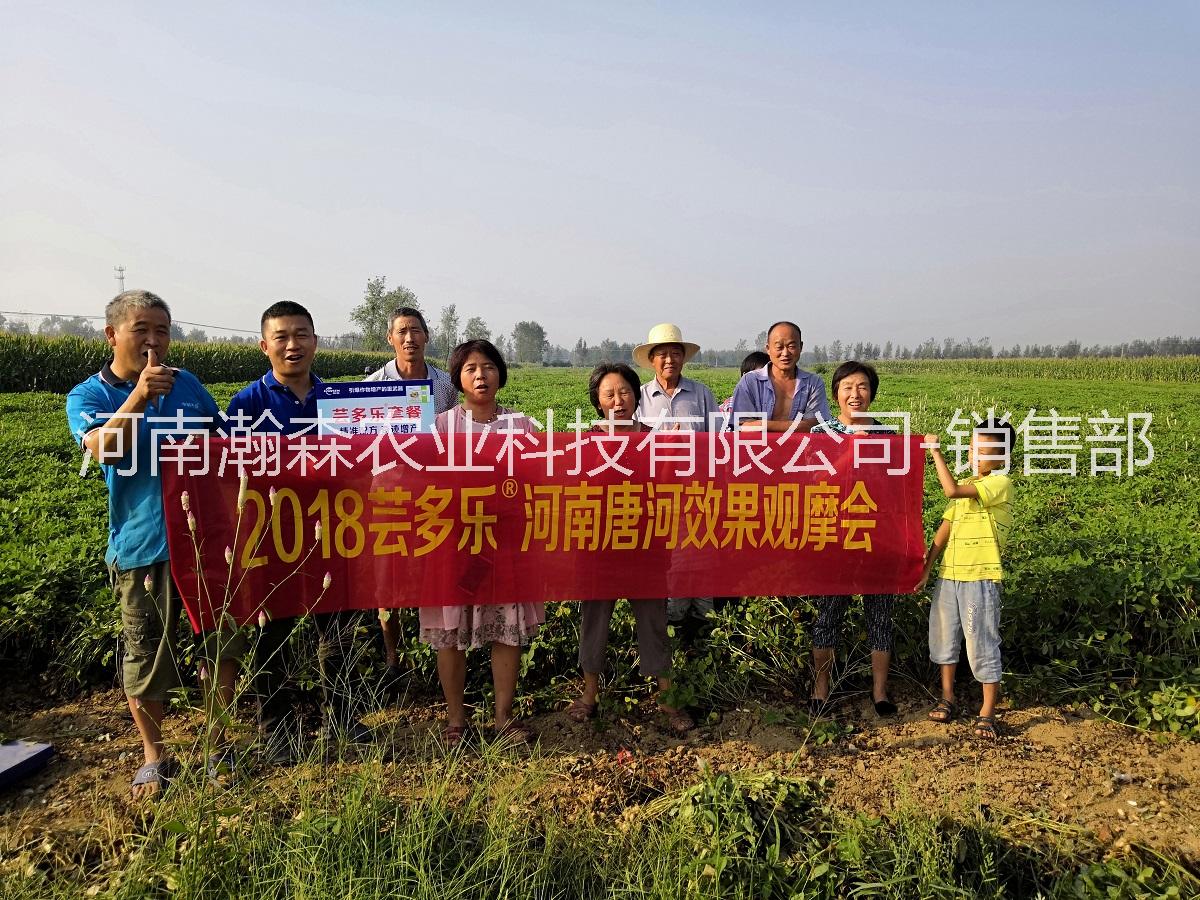 多樂圖片/多樂樣板圖 (3)