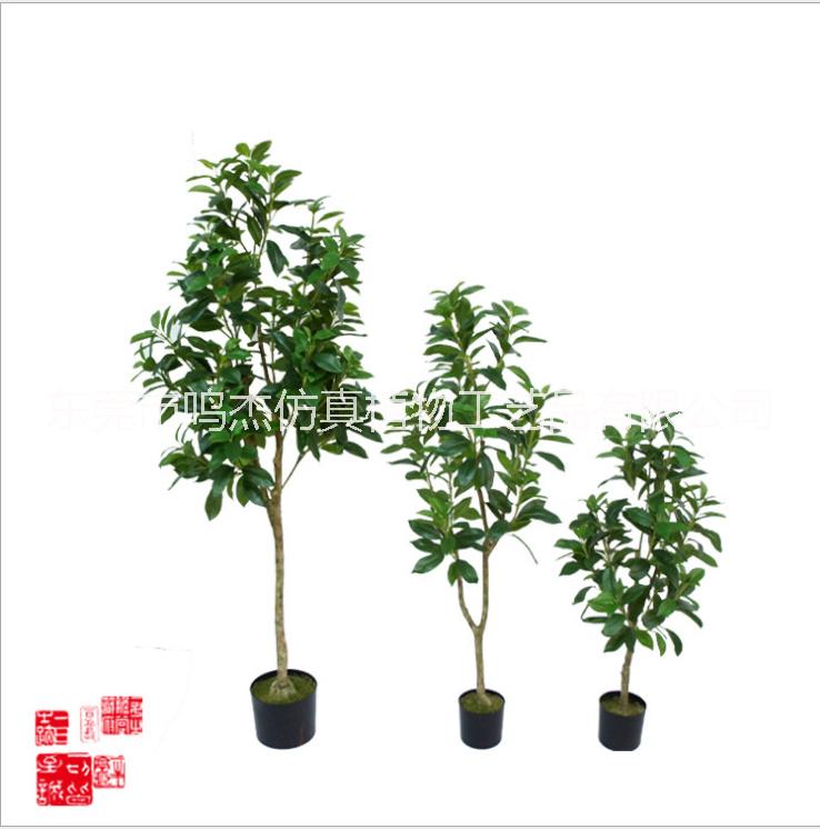 招財(cái)樹松盆室內(nèi)仿真綠植樹景觀裝飾 招財(cái)樹直銷 東莞招財(cái)樹 招財(cái)樹供應(yīng)商  仿真招財(cái)樹植物盆景PC099