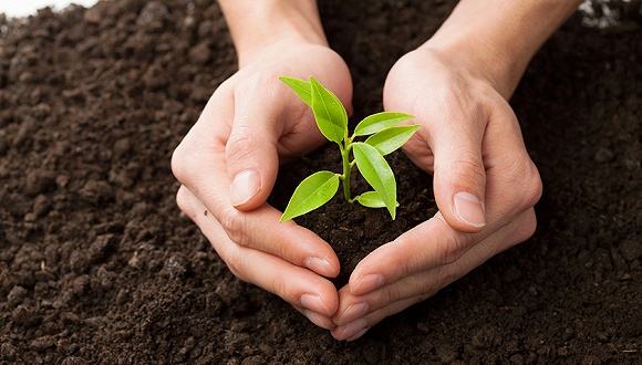 東莞建設(shè)用地土壤污染地塊監(jiān)測中心