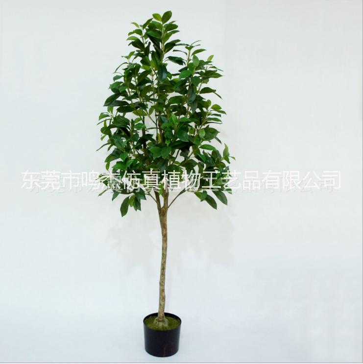 仿真招财树植物盆景PC099招财树松盆室内仿真绿植树景观装饰 招财树直销 东莞招财树 招财树供应商  仿真招财树植物盆景PC099