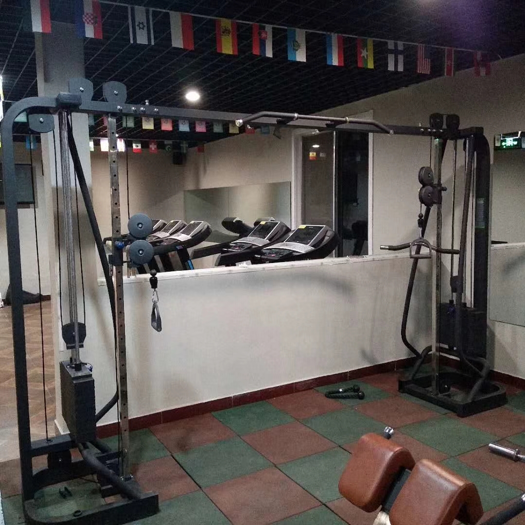 大小飛鳥龍門架多功能器材圖片/大小飛鳥龍門架多功能器材樣板圖 (3)