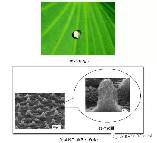 纳米防水涂层让精密电子防水不再是一个概念。 华为 小米 迈瑞迩 比亚迪防水 华为耳机小米 迈瑞迩 比亚迪防水图片