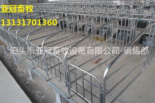 母豬定位欄圖片/母豬定位欄樣板圖 (4)