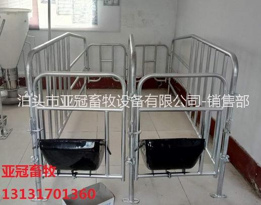 母豬限位欄圖片/母豬限位欄樣板圖 (3)
