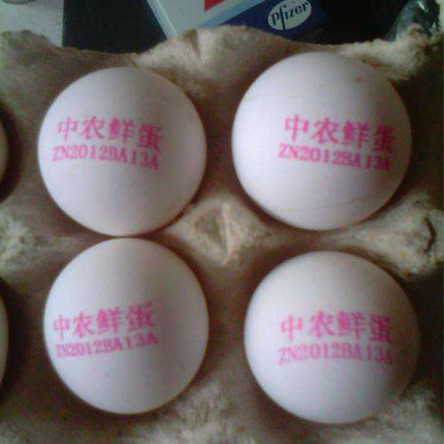 小字符噴碼機(jī)圖片/小字符噴碼機(jī)樣板圖 (4)