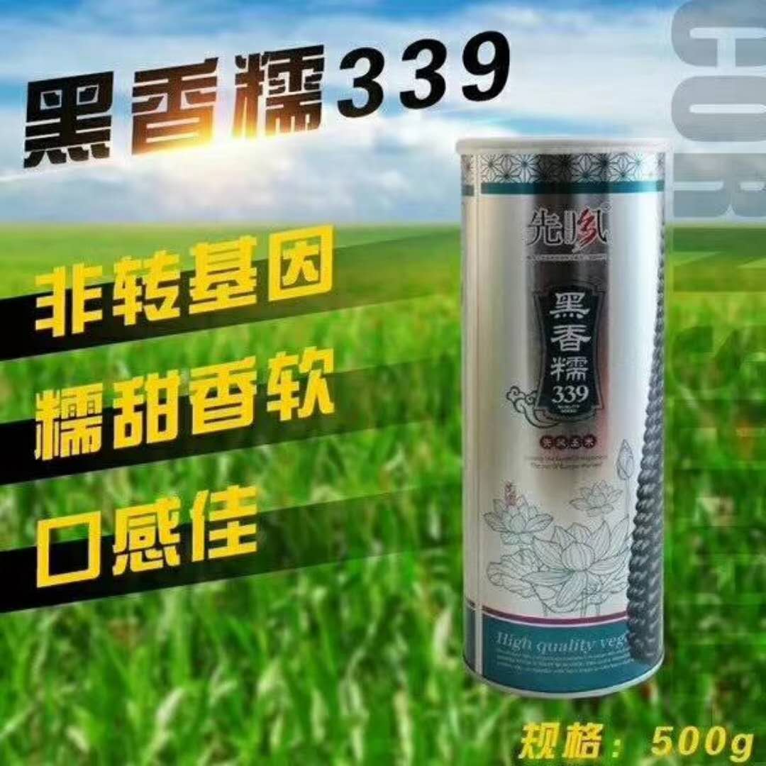 富硒黑香糯玉米 富硒黑香糯玉米种子