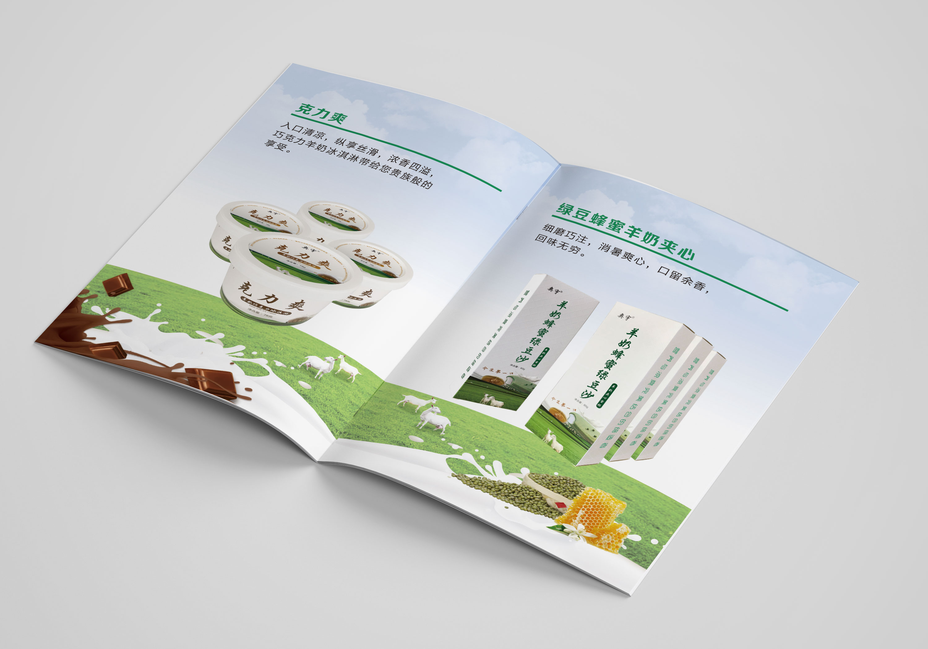 畫冊設(shè)計(jì)圖片/畫冊設(shè)計(jì)樣板圖 (4)