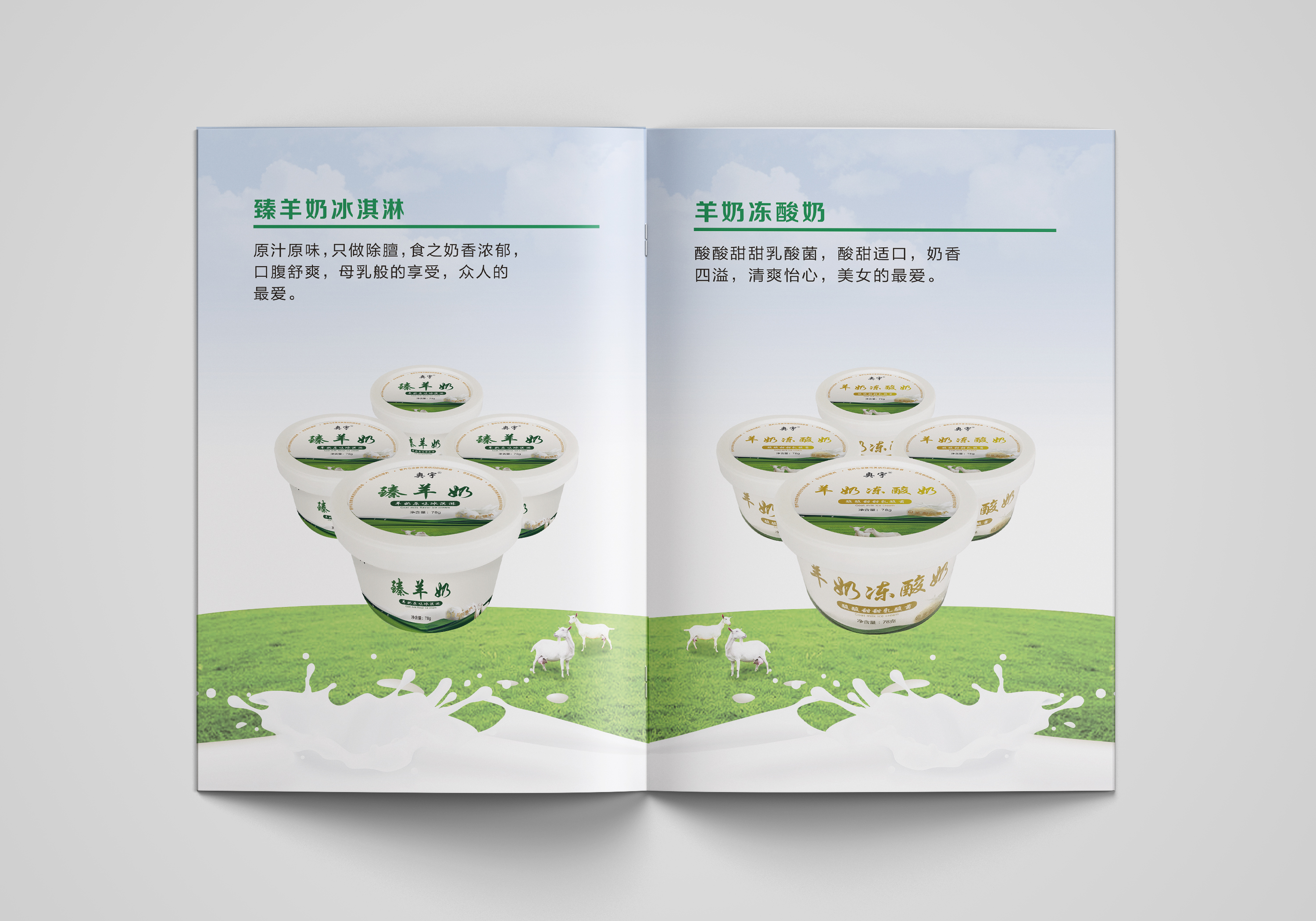 畫冊設(shè)計(jì)圖片/畫冊設(shè)計(jì)樣板圖 (3)