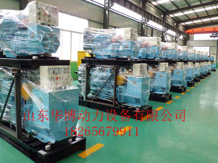 50KW發(fā)電機(jī)組圖片/50KW發(fā)電機(jī)組樣板圖 (4)