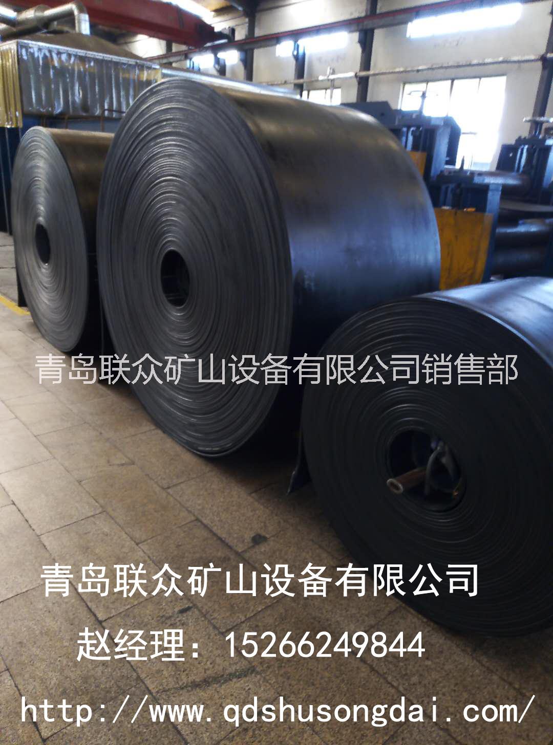 耐寒輸送帶 低溫輸送帶圖片