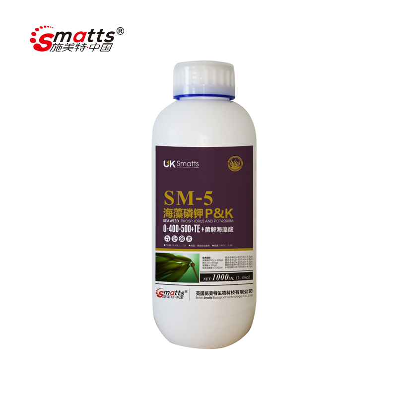 SM-5圖片/SM-5樣板圖 (4)