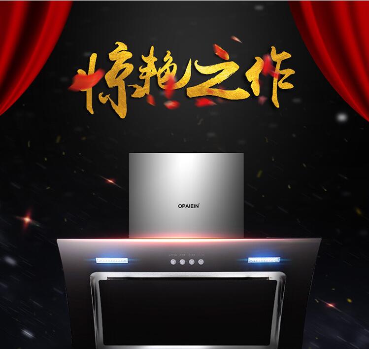 弧形大吸力油煙機(jī)圖片/弧形大吸力油煙機(jī)樣板圖 (1)