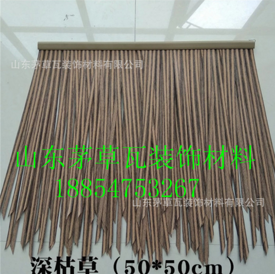 山東濟(jì)寧茅草圖片