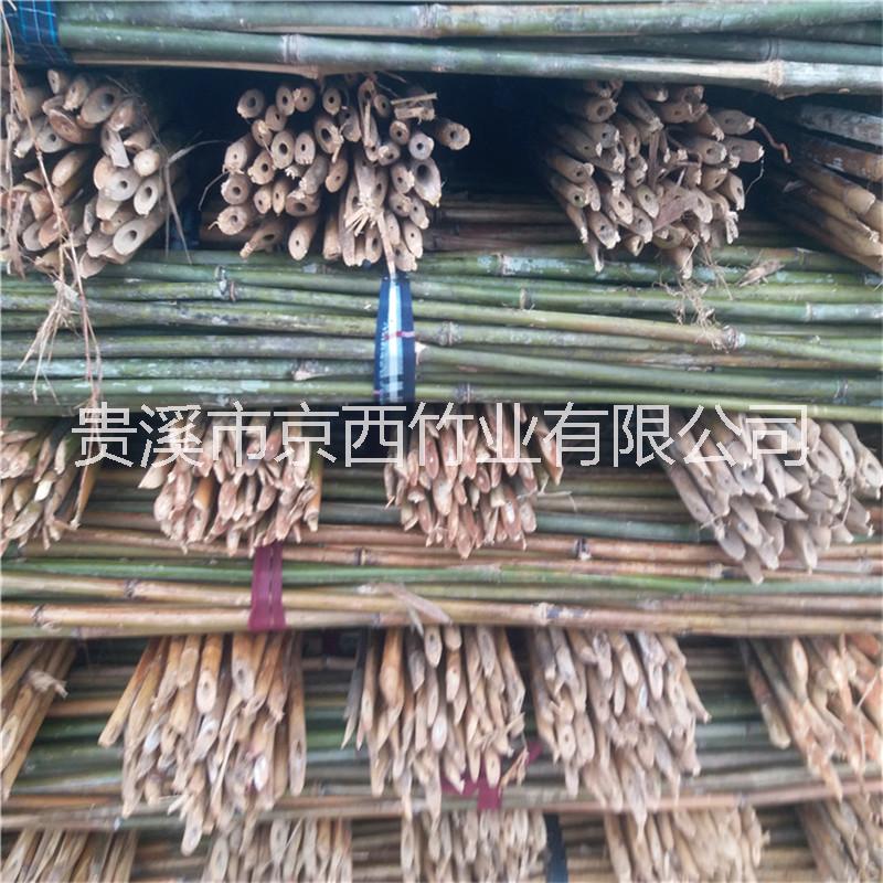 綁竿圖片/綁竿樣板圖 (4)