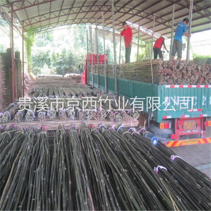豆架桿圖片/豆架桿樣板圖 (4)