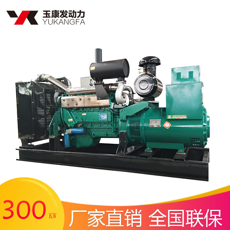 300kw發(fā)電機圖片/300kw發(fā)電機樣板圖 (2)