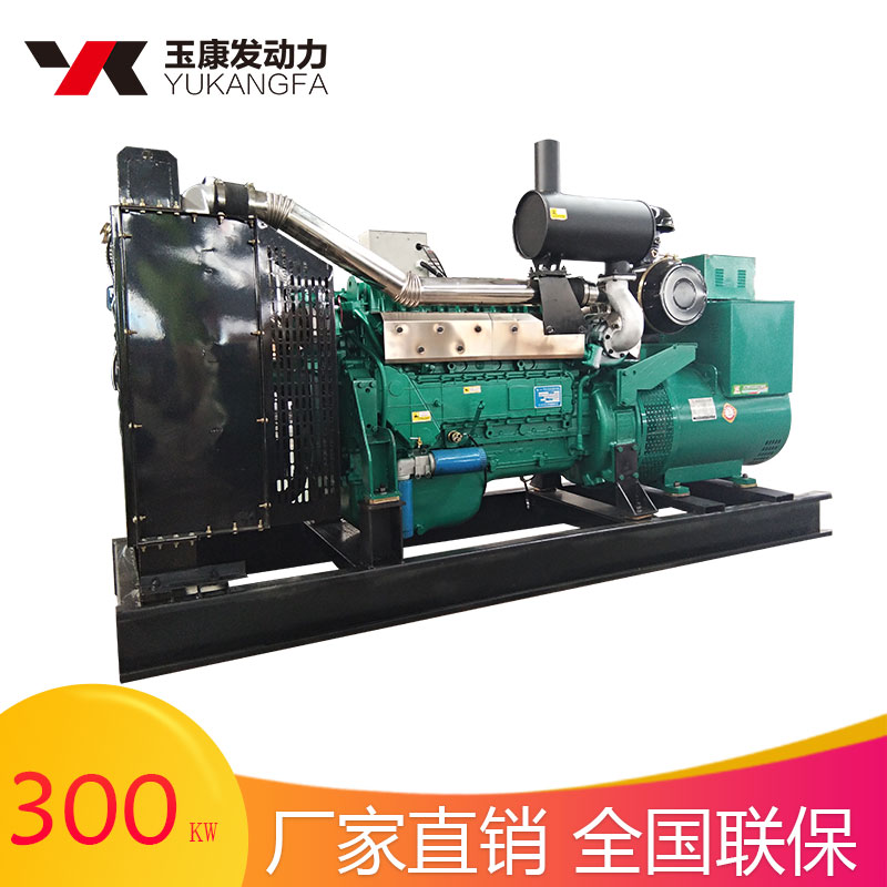 300kw發(fā)電機圖片/300kw發(fā)電機樣板圖 (3)