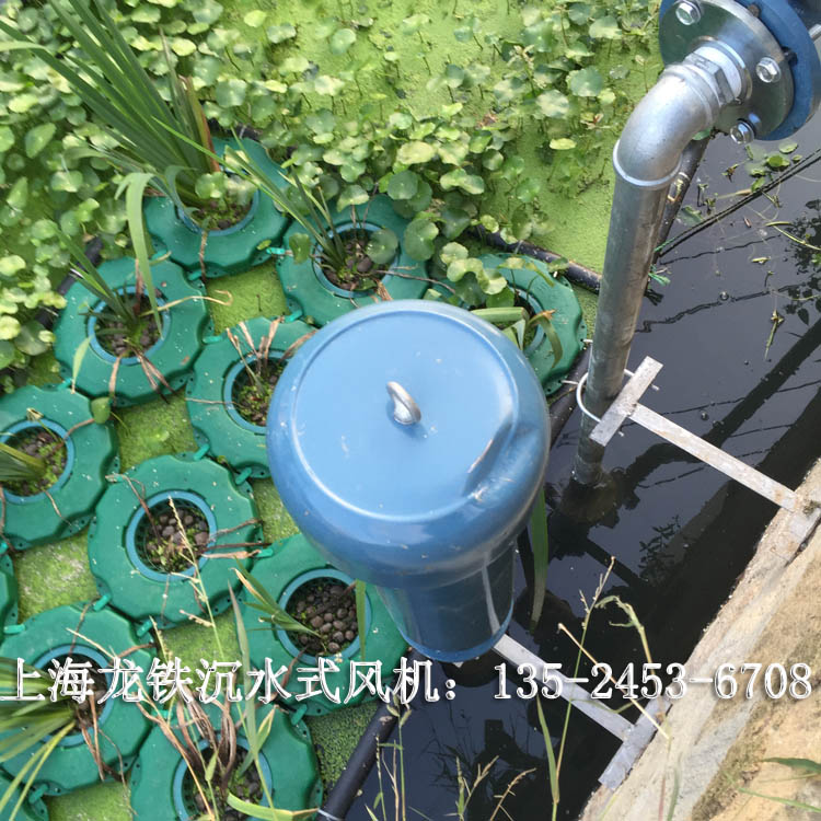 景觀河湖水處理沉水式鼓風(fēng)機(jī)LTW-8055 水下鼓風(fēng)機(jī)