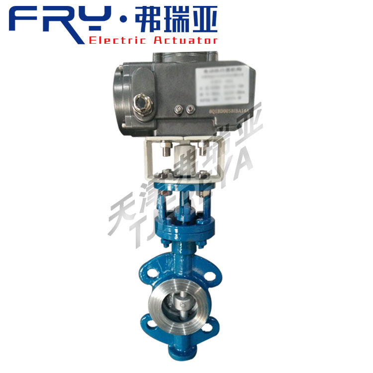 精小型閥門電裝圖片/精小型閥門電裝樣板圖 (4)