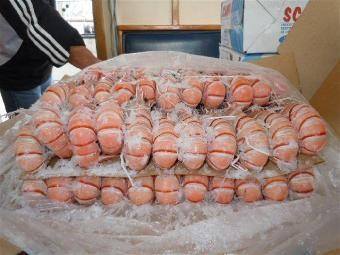 廣州海鮮進口清關代理公司圖片/廣州海鮮進口清關代理公司樣板圖 (4)