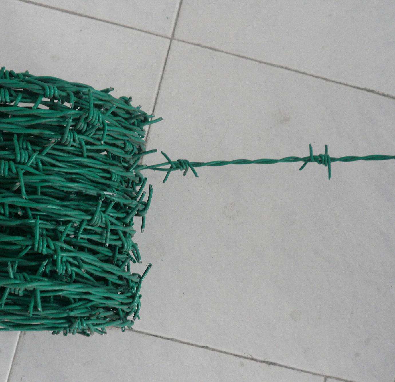 刀片刺繩圍欄網(wǎng)圖片/刀片刺繩圍欄網(wǎng)樣板圖 (4)