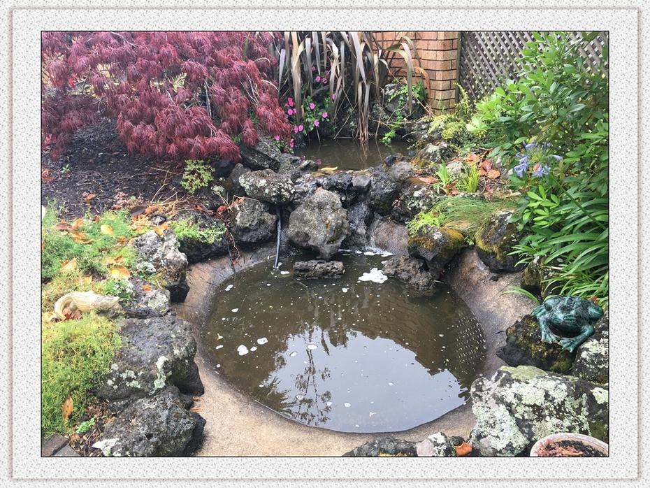 錦鯉魚池設(shè)計圖片/錦鯉魚池設(shè)計樣板圖 (2)