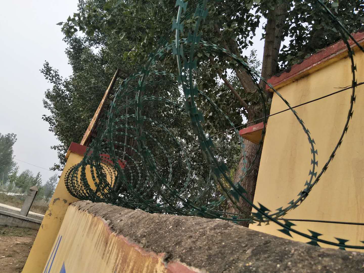 刀片刺繩護欄網(wǎng)圖片/刀片刺繩護欄網(wǎng)樣板圖 (2)