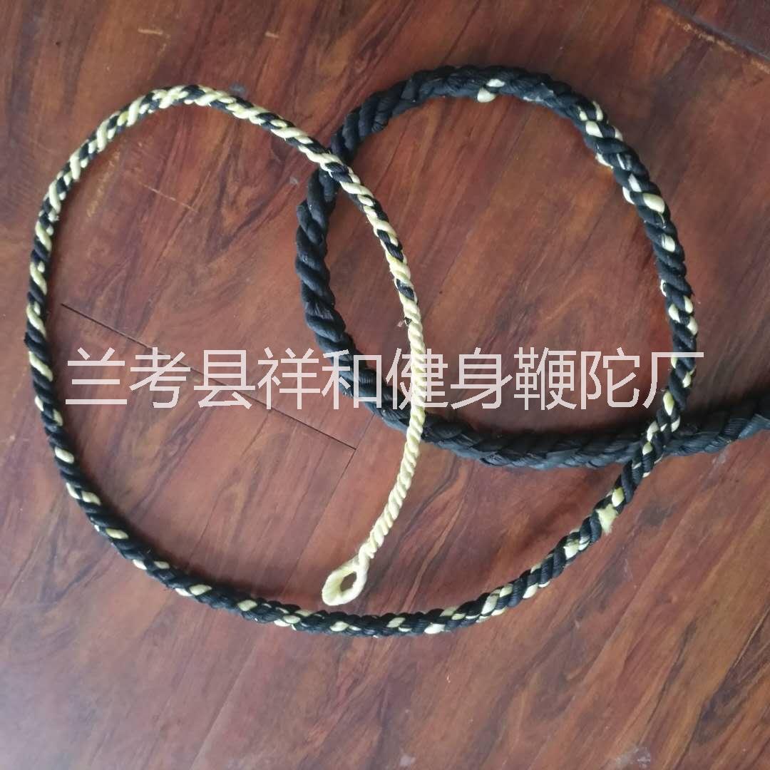 麒麟鞭圖片/麒麟鞭樣板圖 (4)