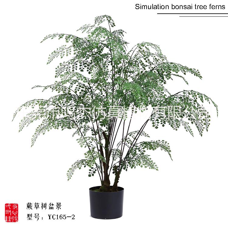 草盆景圖片/草盆景樣板圖 (2)
